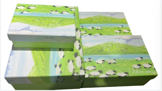 Prachtig Patroon Flip Top Gift Box Custom Rigid Cardstock Elegant ontwerp