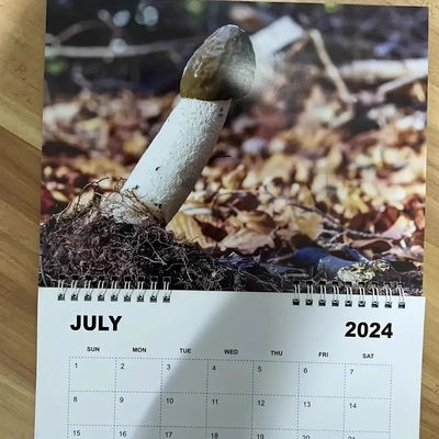 Aanpassing van de muurkalender met persoonlijke en duurzame spiraalbinding